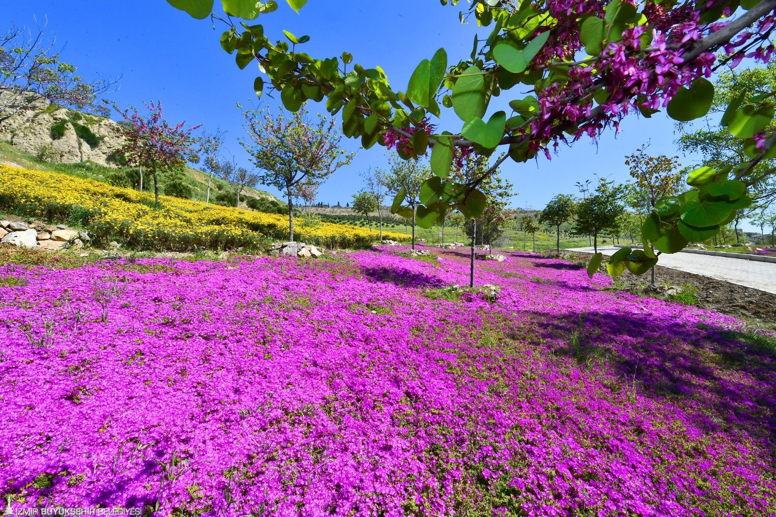 İzmir’de parklar akıllı sulamaya kavuştu