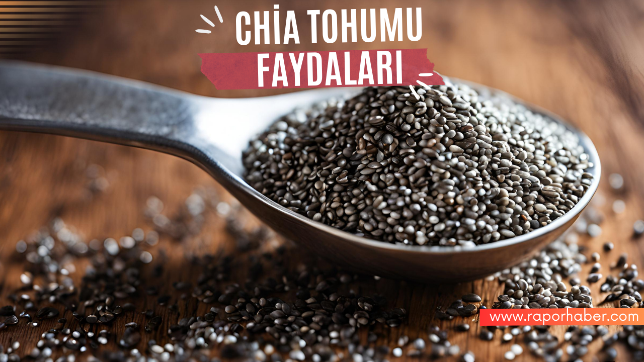 Chia Tohumu Ve Mucizevi Faydaları