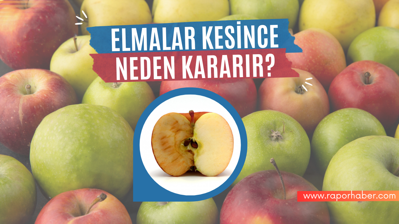 Elmalar Kesince Neden Kararır?
