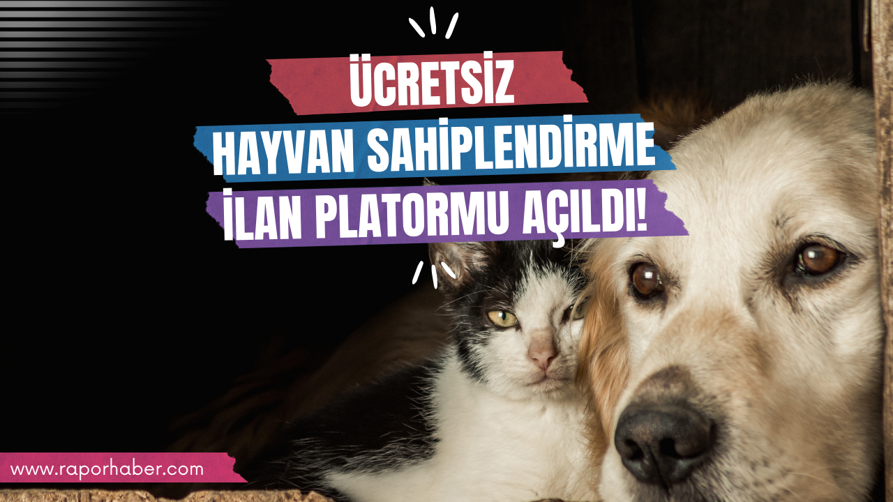 Ücretsiz Hayvan Sahiplendirme İlan Platformu Açıldı!