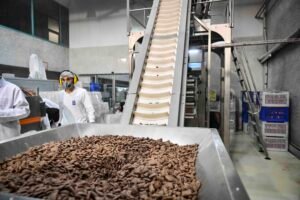 ANKARA'DAN EKMEK İSRAFININ ÖNÜNE GEÇEN PROJE