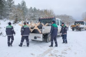 Bolu Belediyesi yılkı atlarını unutmadı