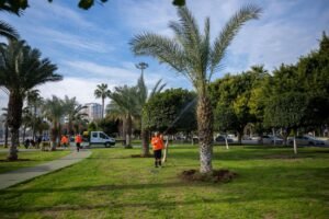 Mersin Büyükşehir Kentin simgesini koruyor
