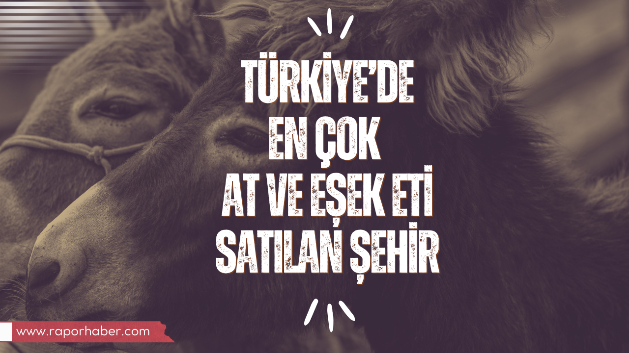 Türkiye’de At ve Eşek Eti Satılan 6 İl
