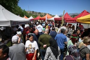 4. Göksu Gravga Şenliği