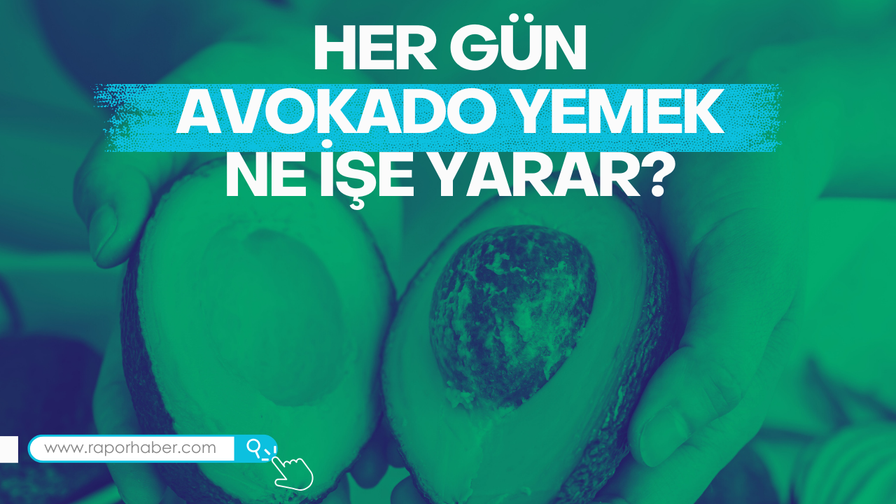 Her Gün Avokado Yemek Ne İşe Yarar? İşte Bilmeniz Gerekenler