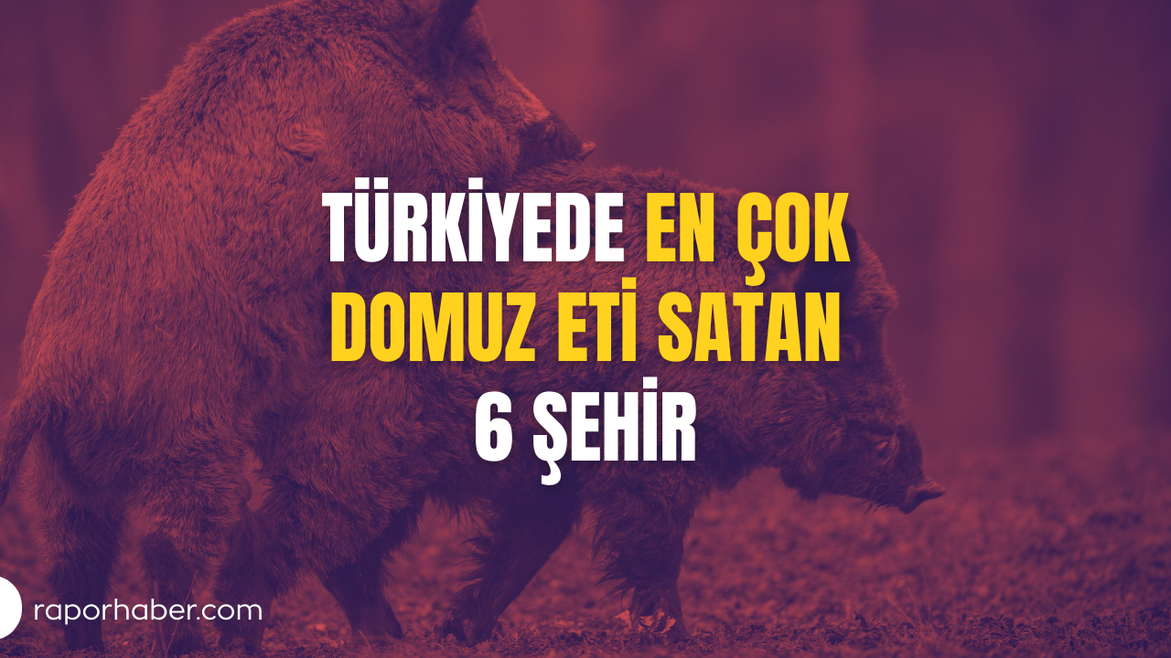 Türkiyede En Çok Domuz Eti Satan 6 Şehir