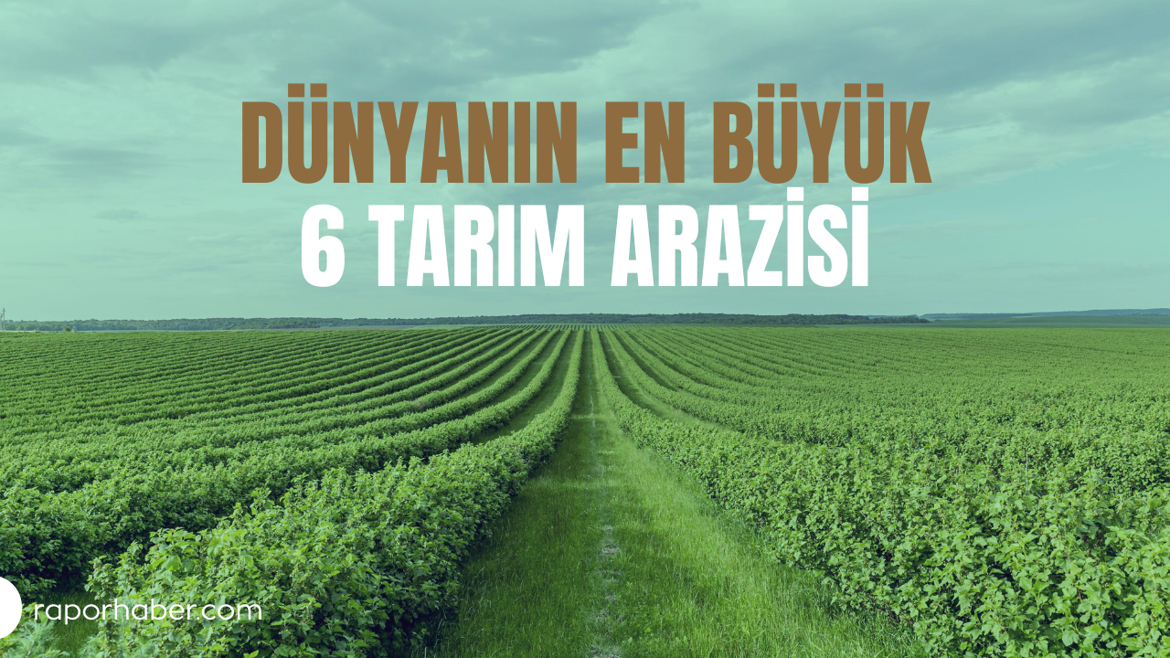Dünyanın Tek Parça Halinde En Büyük 6 Tarım Arazisi